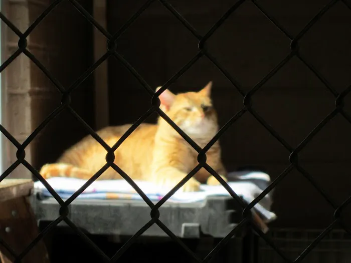 Columbia Animal Clinic Picture 3