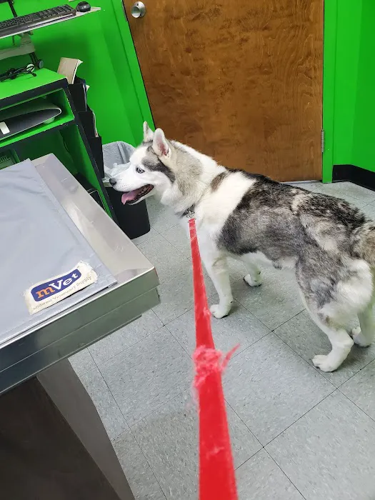 Columbia Animal Clinic Picture 7