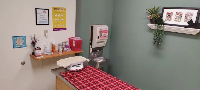 Center West Animal Hospital Picture 3