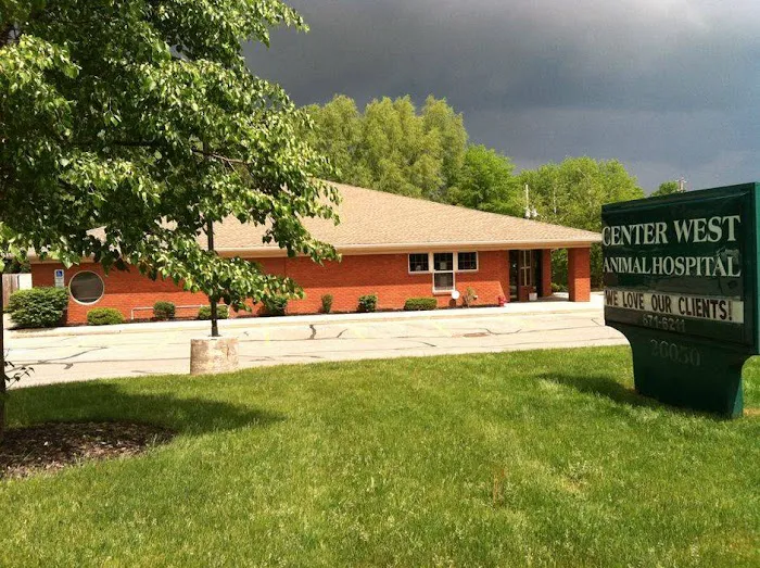 Center West Animal Hospital Picture 4