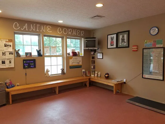 Center West Animal Hospital Picture 10