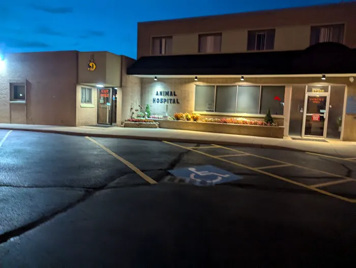 Detroit Dover Animal Hospital Picture 4