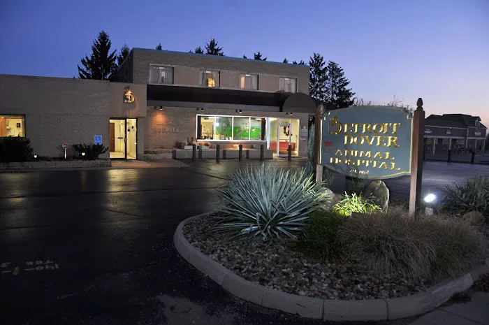 Detroit Dover Animal Hospital Picture 8