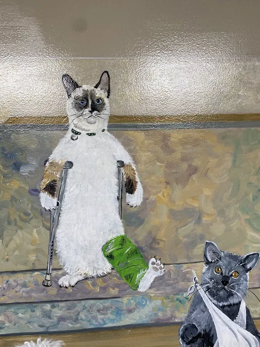 Detroit Dover Animal Hospital Picture 3