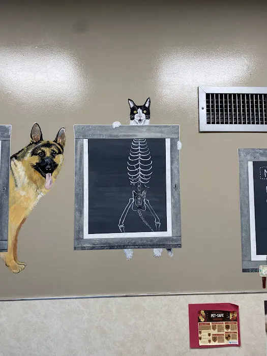 Detroit Dover Animal Hospital Picture 1