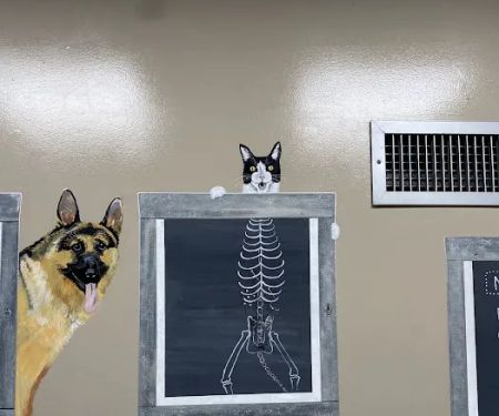 Detroit Dover Animal Hospital