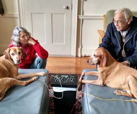 All Creatures Acupuncture Holistic Veterinary Therapies