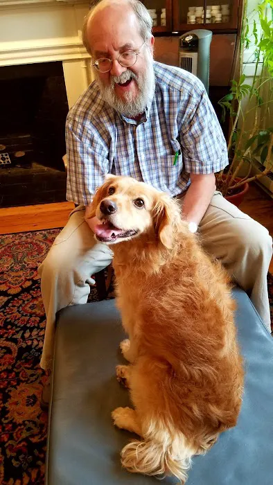 All Creatures Acupuncture Holistic Veterinary Therapies Picture 2