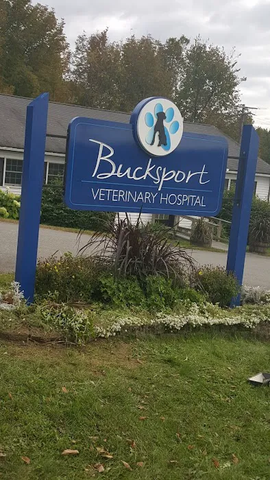 Bucksport Veterinary Hospital Picture 2