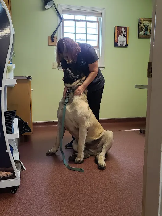 Bucksport Veterinary Hospital Picture 5