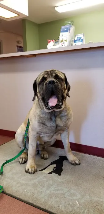 Bucksport Veterinary Hospital Picture 4