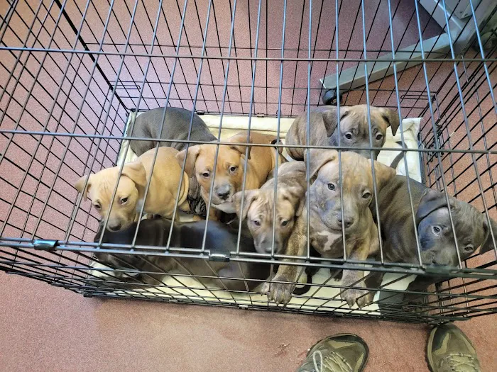 Bucksport Veterinary Hospital Picture 7