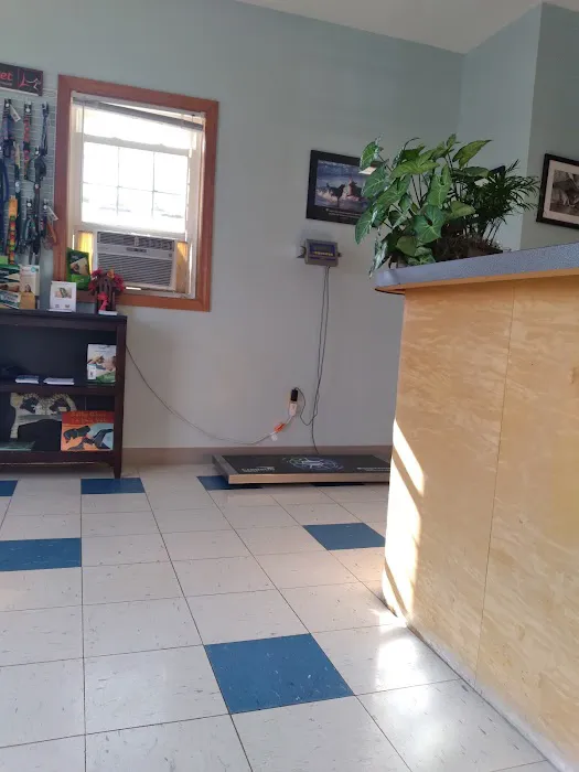 Ridge Runner Veterinary Services Picture 4