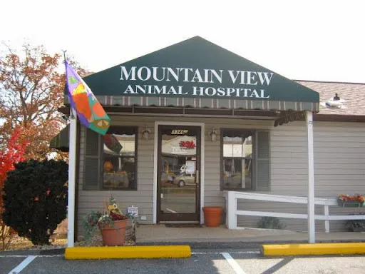 Mountain View Animal Hospital Picture 3