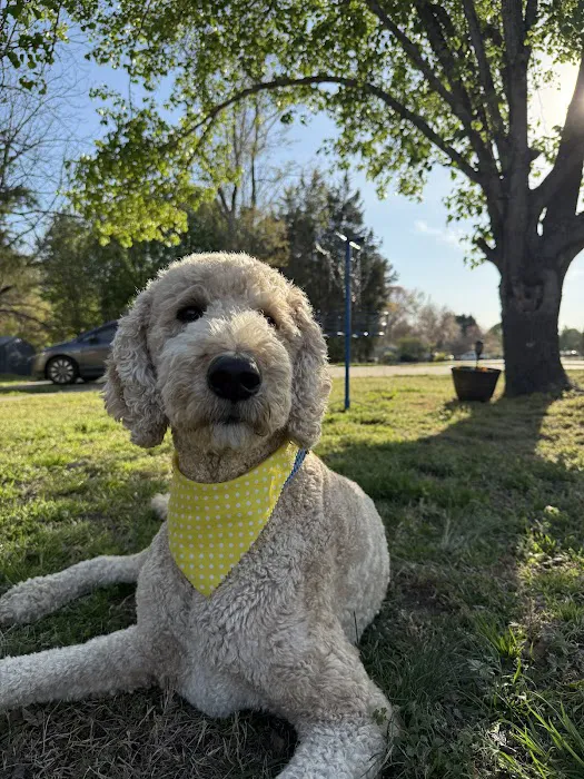 Dry Pond Animal Hospital and Pet Resort Picture 10