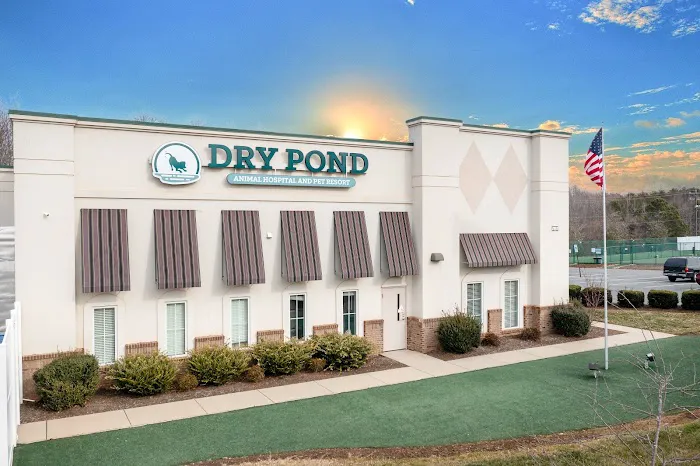Dry Pond Animal Hospital and Pet Resort Picture 7