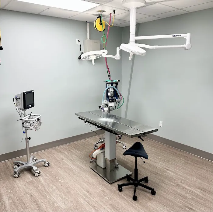 Dry Pond Animal Hospital and Pet Resort Picture 9