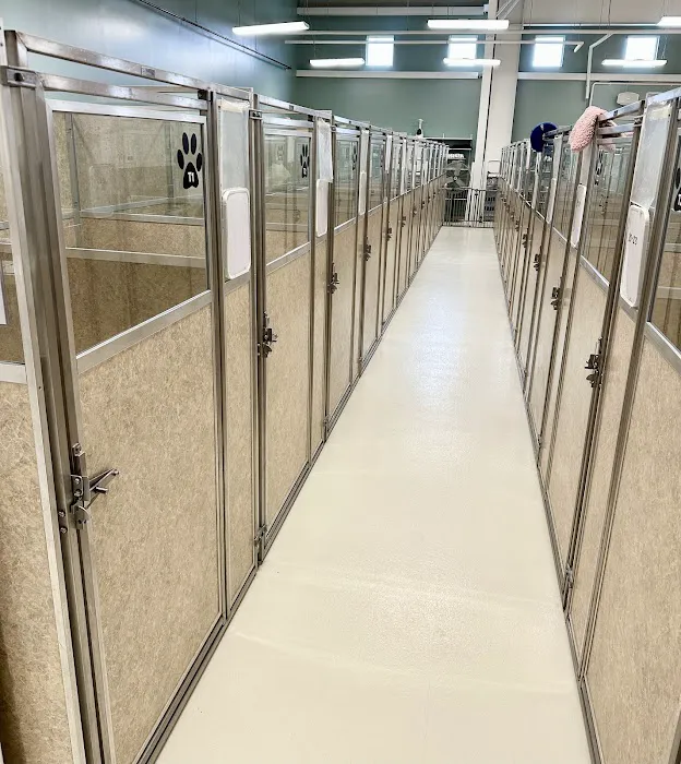 Dry Pond Animal Hospital and Pet Resort Picture 8