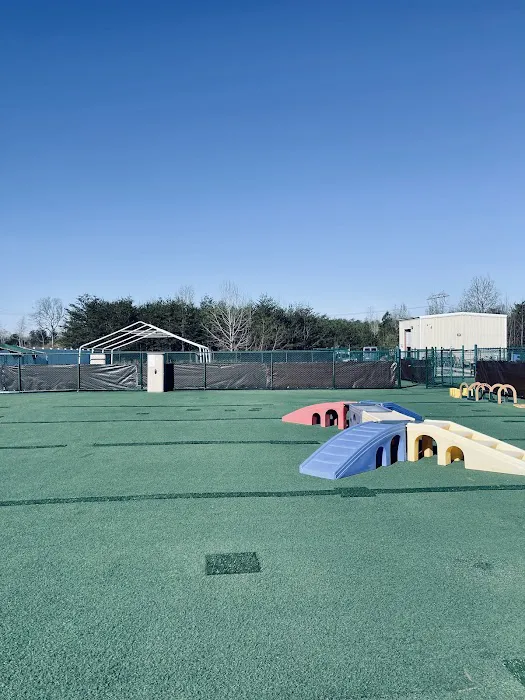 Dry Pond Animal Hospital and Pet Resort Picture 4