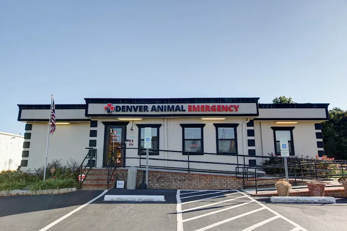 Denver Animal Emergency Picture 1