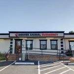 Denver Animal Emergency