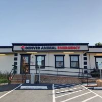 Denver Animal Emergency ico