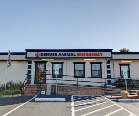 Denver Animal Emergency