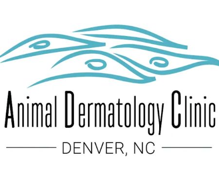 Animal Dermatology Clinic
