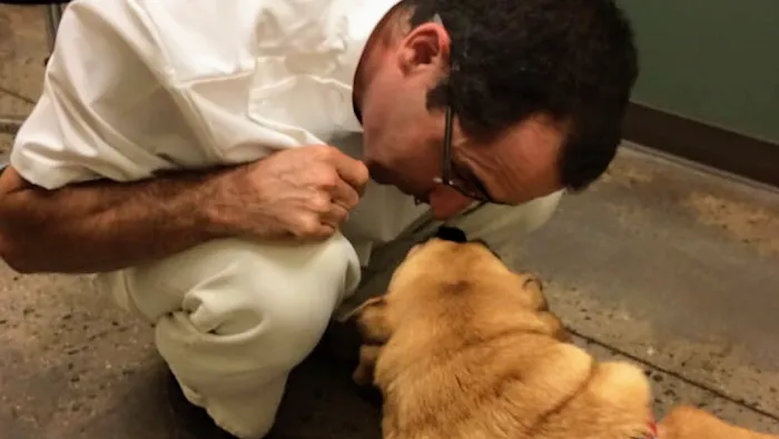 North Mecklenburg Animal Hospital Picture 10