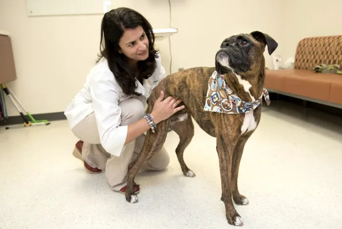 Dogwood Veterinary Surgical Care Picture 8