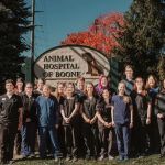 VerticalVet, LLC