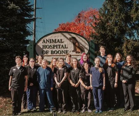 VerticalVet, LLC