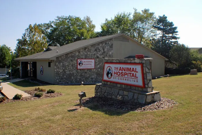 Animal Hospital of Cornelius Picture 5