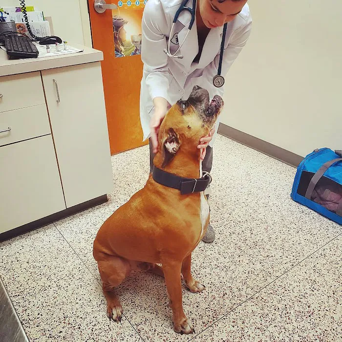 East Lincoln Animal Hospital Picture 9