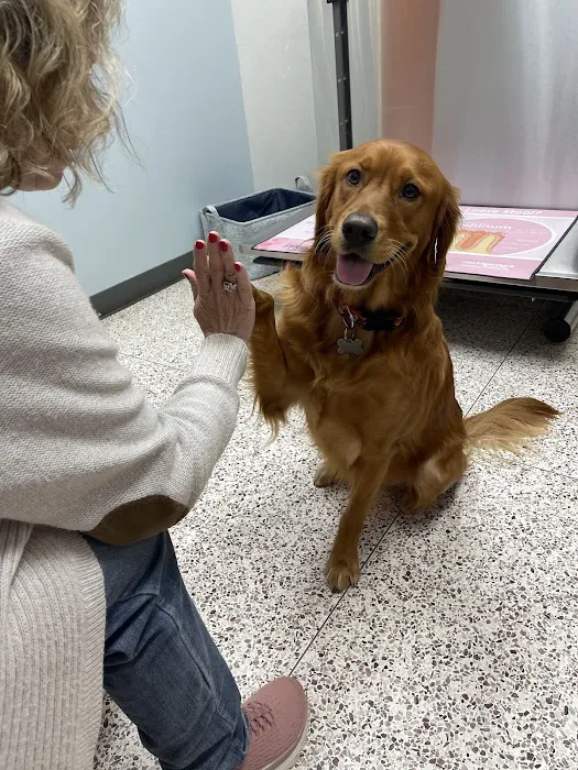 East Lincoln Animal Hospital Picture 6