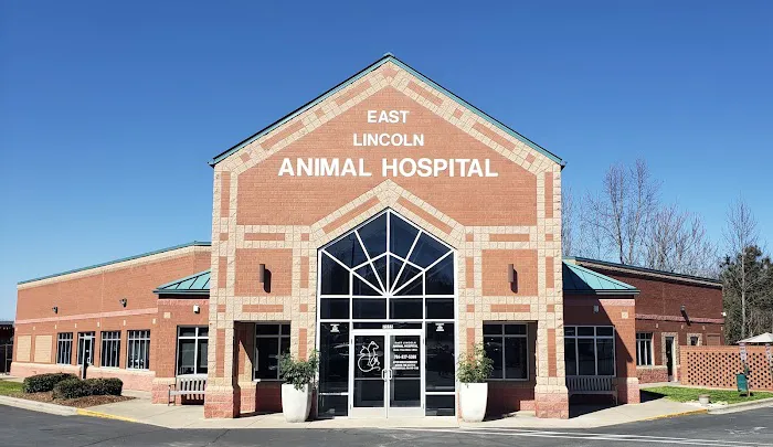 East Lincoln Animal Hospital Picture 3