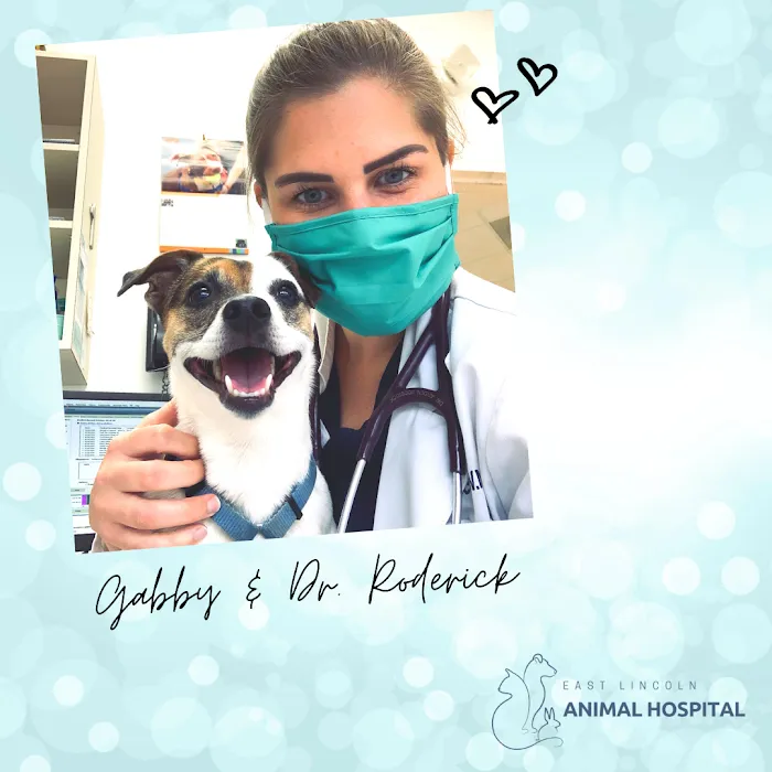 East Lincoln Animal Hospital Picture 8
