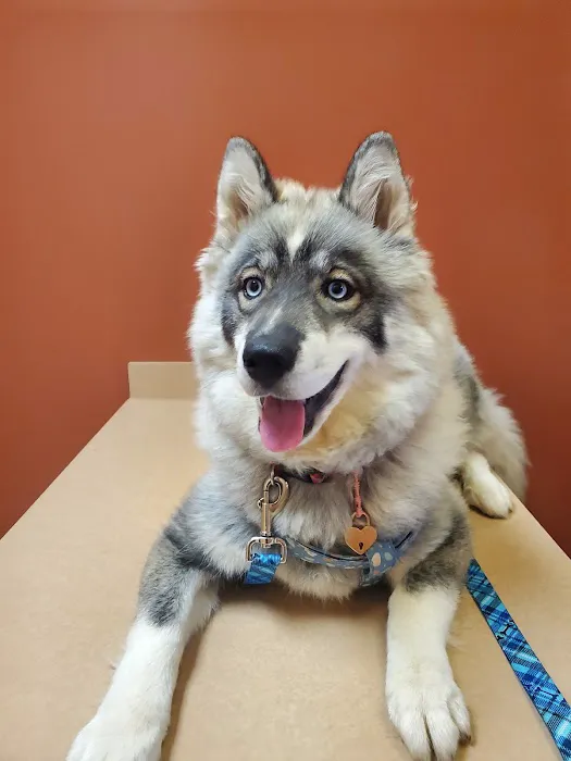 Ironton Animal Hospital Picture 1