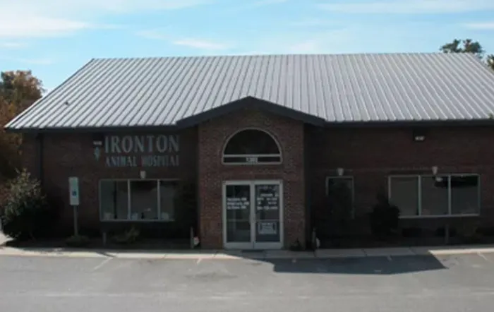 Ironton Animal Hospital Picture 5