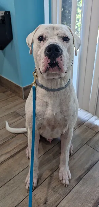 NewDay Veterinary Care Picture 9