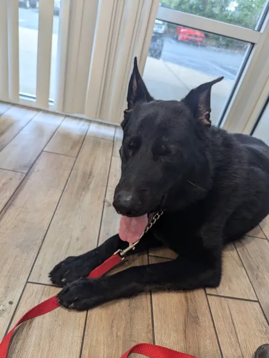 NewDay Veterinary Care Picture 10