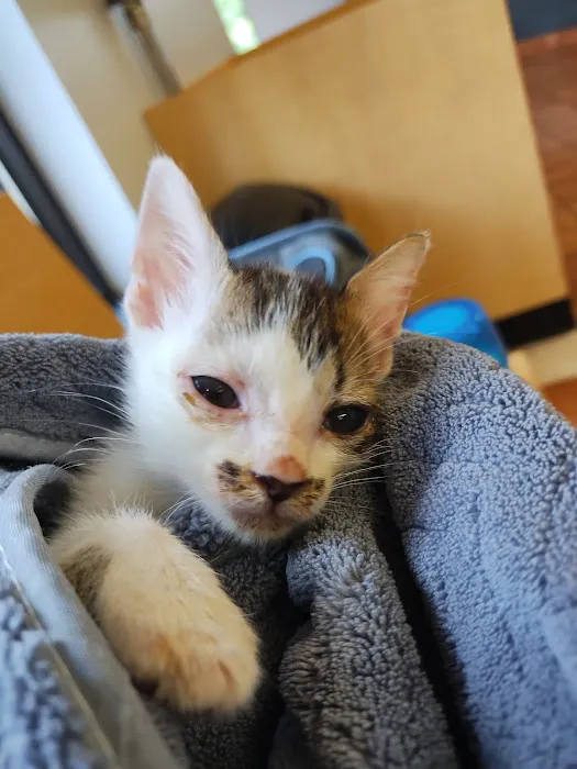 Banfield Pet Hospital Picture 1