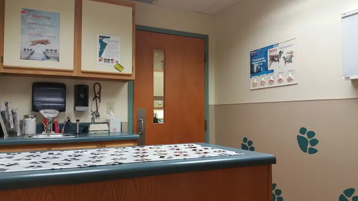 Banfield Pet Hospital Picture 6