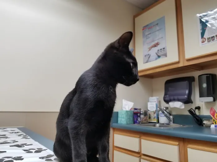 Banfield Pet Hospital Picture 9