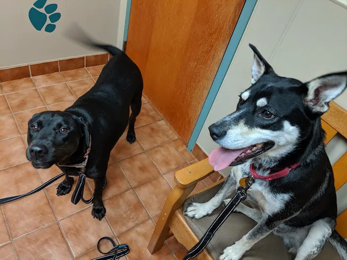 Banfield Pet Hospital Picture 2