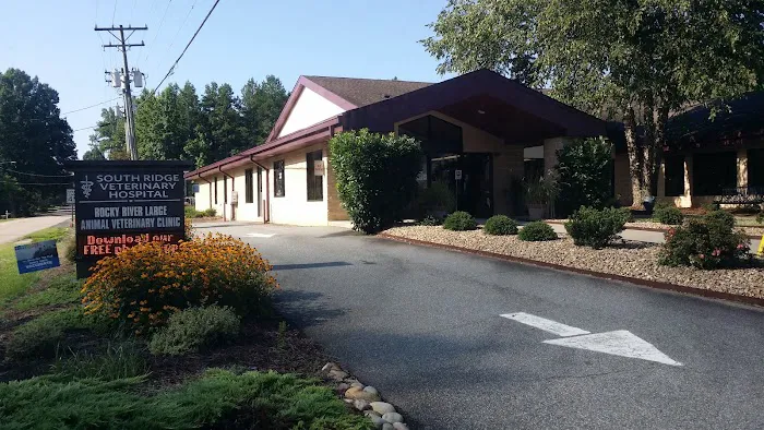 Banfield Pet Hospital Picture 3