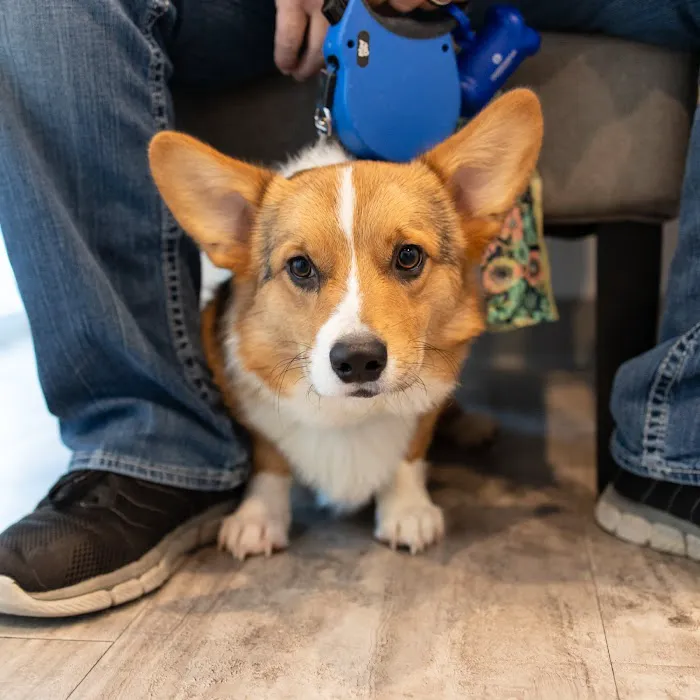 Cabarrus Animal Hospital Picture 2
