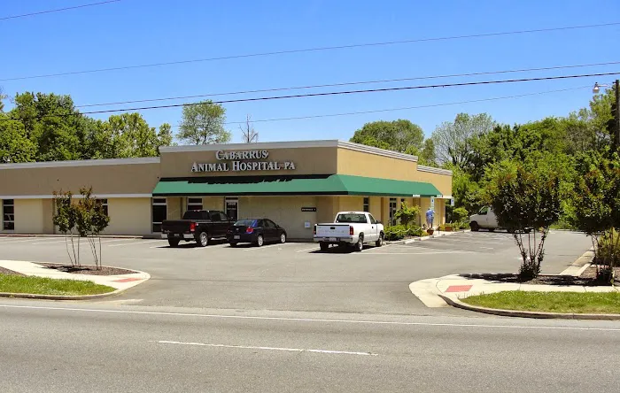 Cabarrus Animal Hospital Picture 4