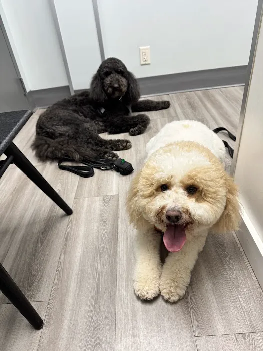 Cabarrus Animal Hospital Picture 10
