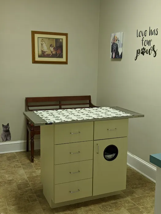 Whiskers and Paws Veterinary Wellness Clinic Picture 9